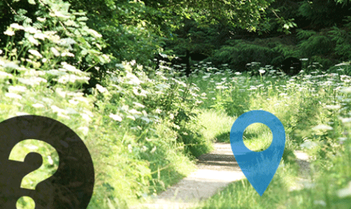 Digitale Schnitzeljagd