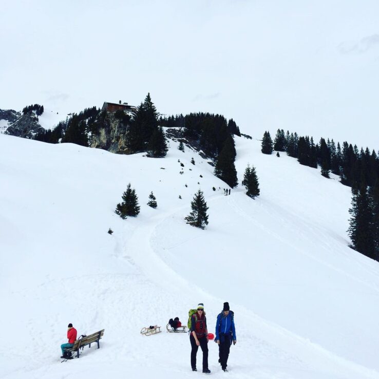 12748186_518960638278363_11269315_n