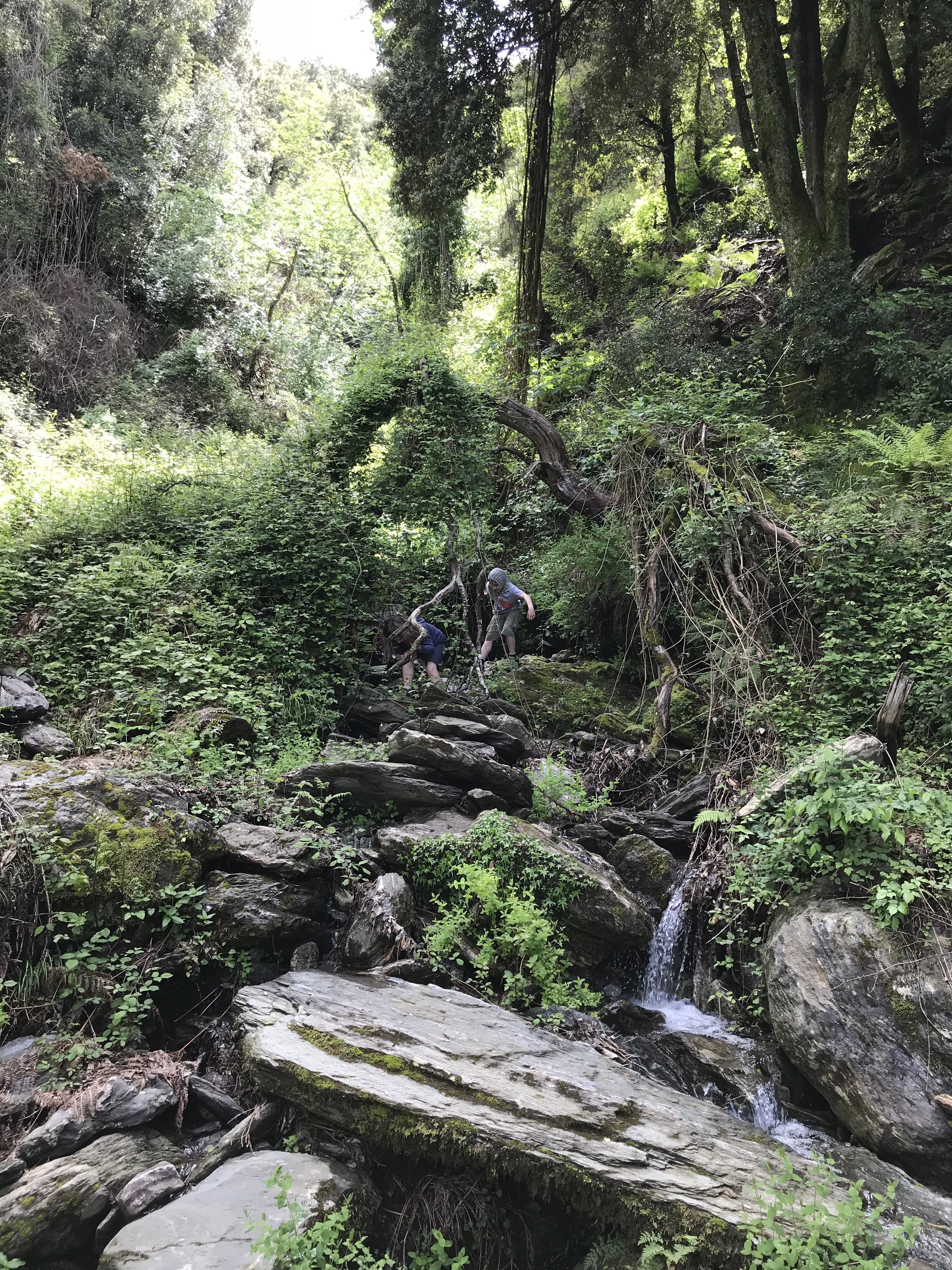 Die meiste Zeit läuft man durch dichten Wald, hat also Schatten.