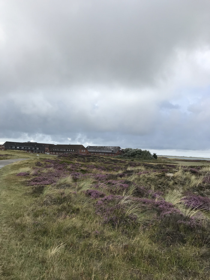 Tag 11 und 12: Auf dem Nordseeradweg