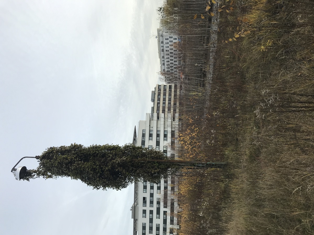 26.11.2019 - Gleispark Baumkirchen