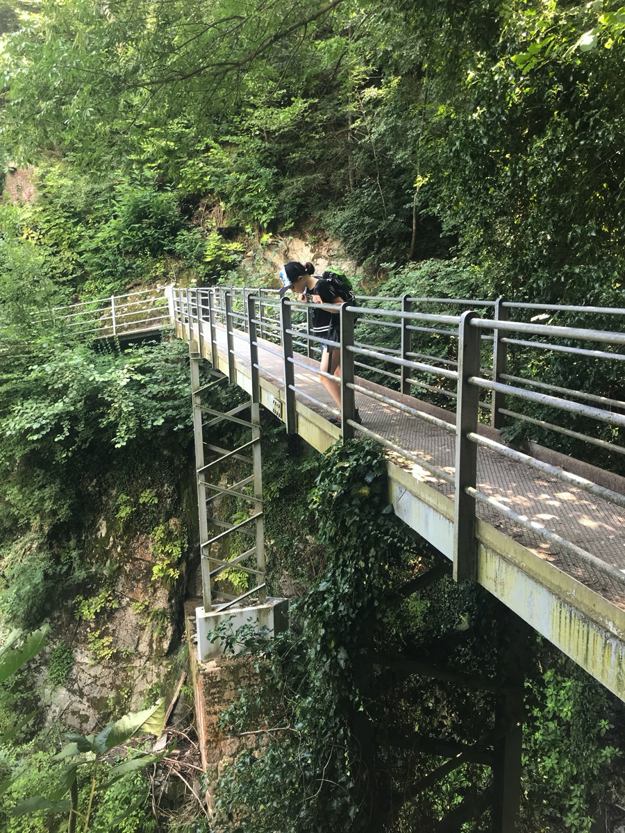 Südtiroler Brückentechnologie.