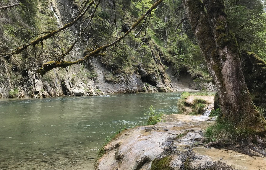 Durch die Ammerschlucht zu den Schleierf&auml;llen