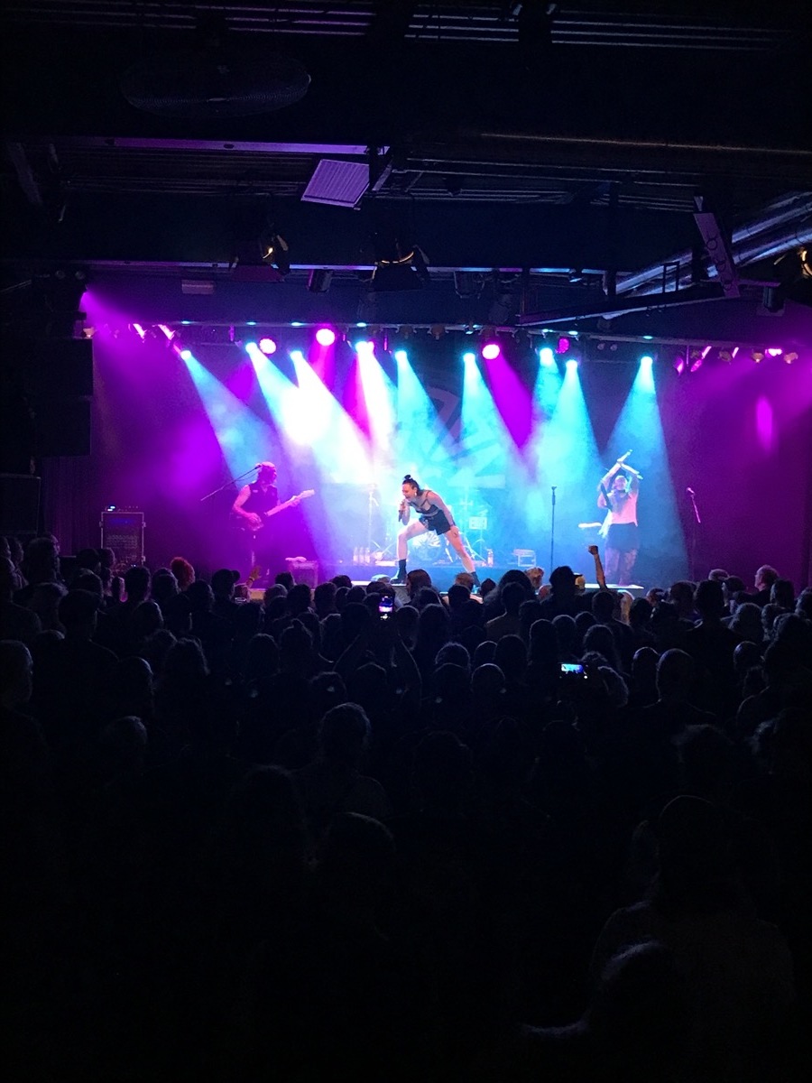 19.08.2022 - The Baboon Show