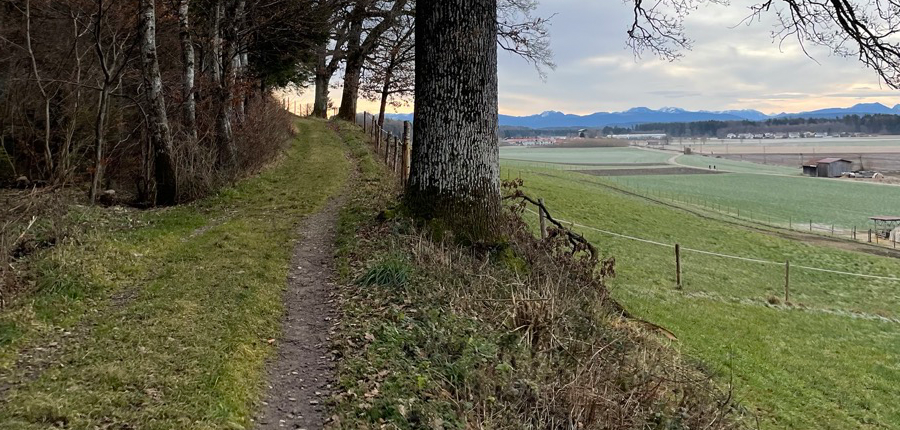 Wanderspaziergang: Pei&szlig; - Aying