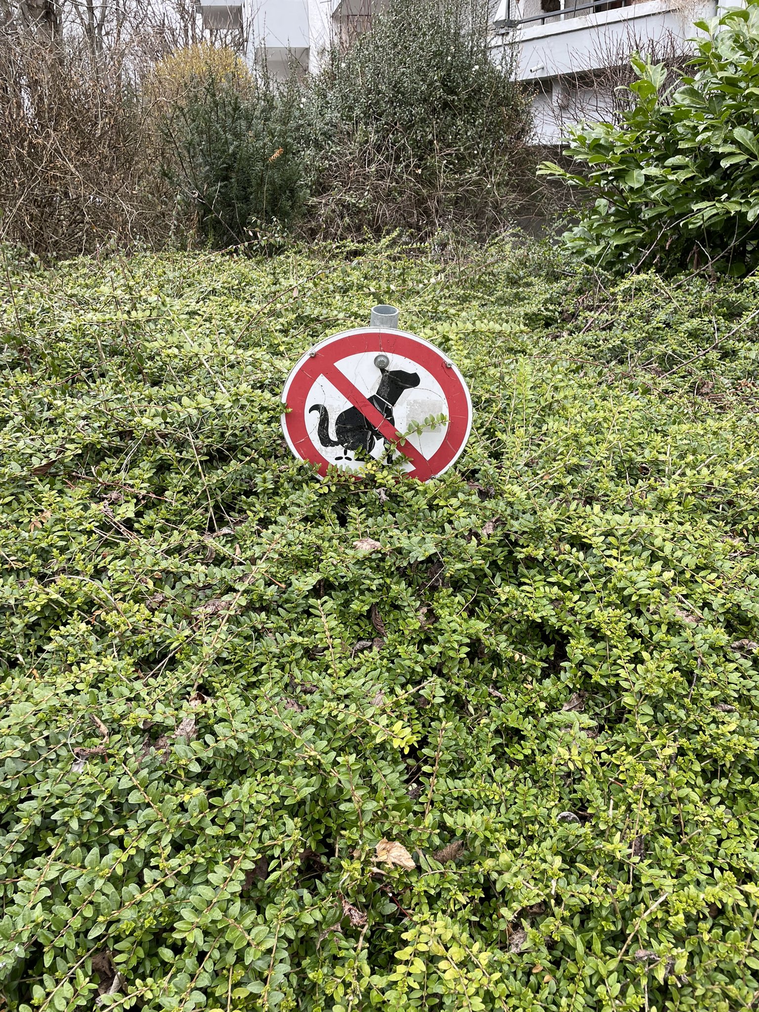 Alles ist verboten (1)