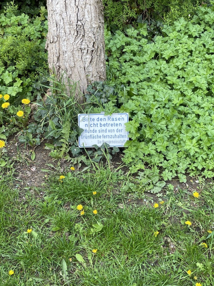 Alles ist verboten (11)