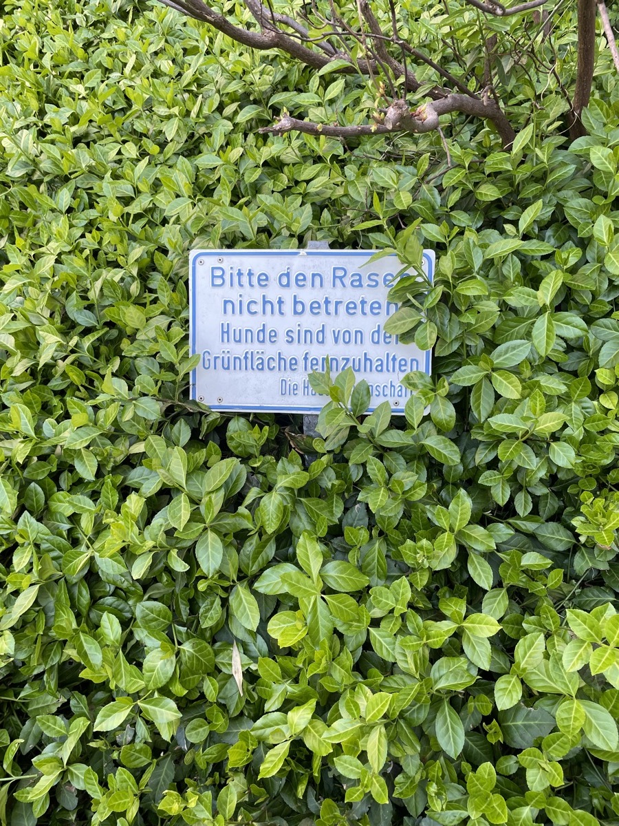 Alles ist verboten (9)