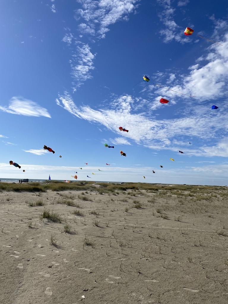 Urlaub in D&auml;nemark ohne Auto