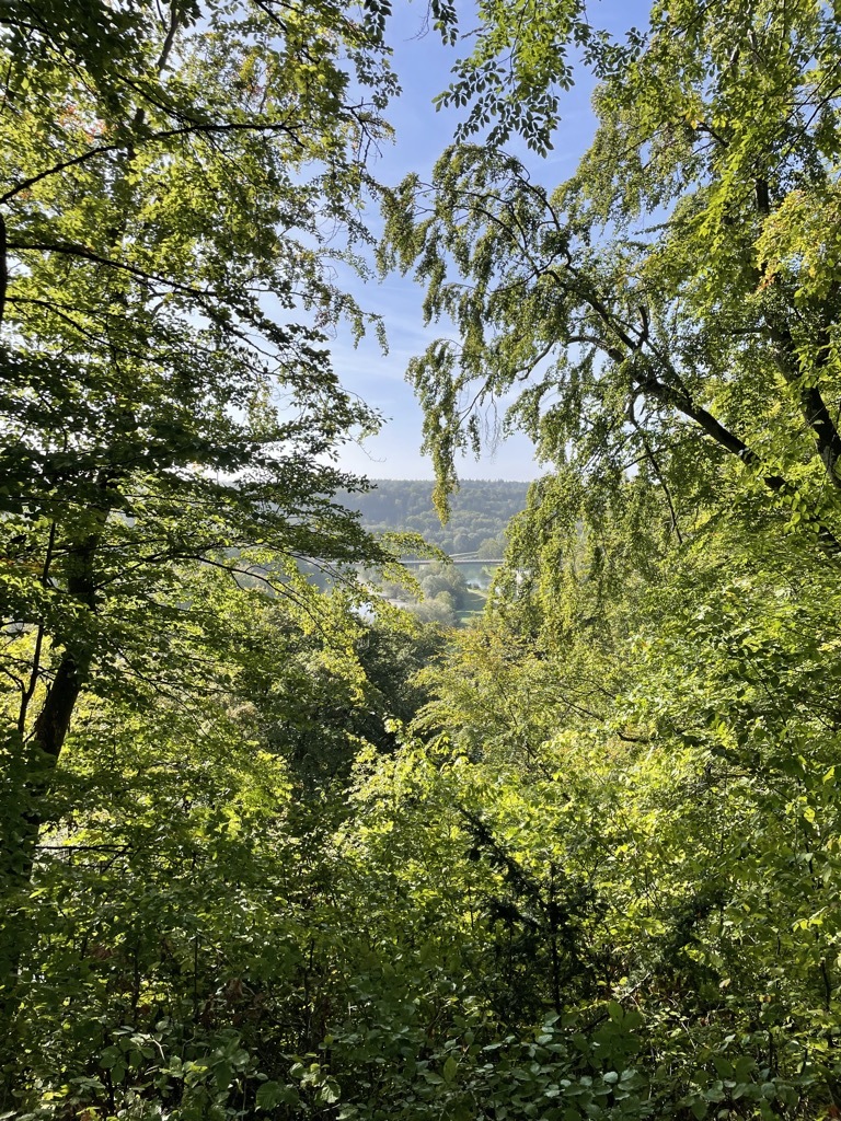Hab ein neues Guckloch mit Blick auf die Grünwald Brücke entdeckt.