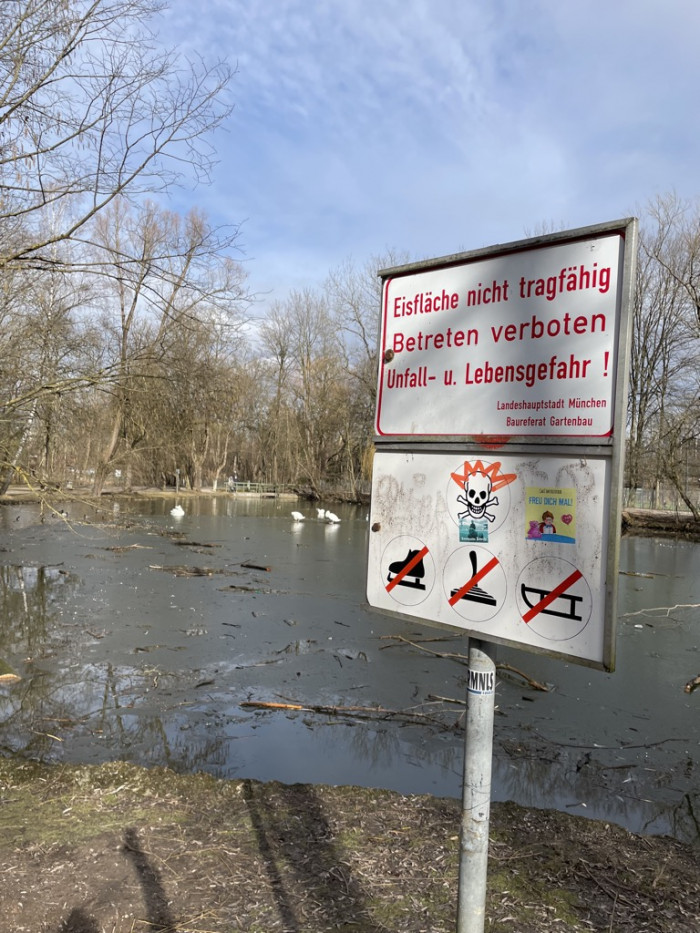Schw&auml;ne lesen keine Hinweisschilder und klicken nicht auf Links