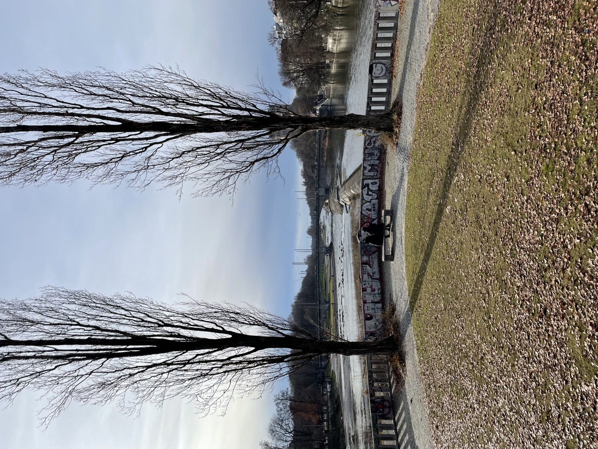 Bambi, Geburtstage und Schw&auml;bisch Hall