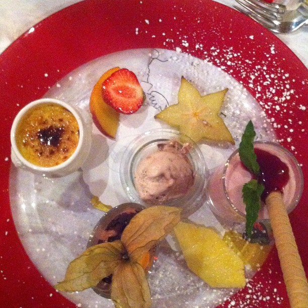 Dschungelpr&uuml;fung