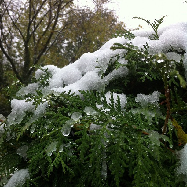Foto 27.10.2012