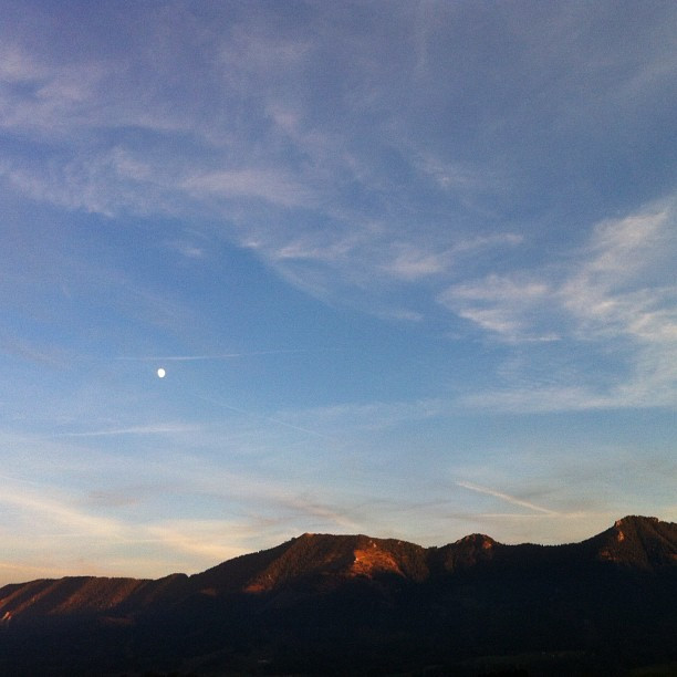 Mond