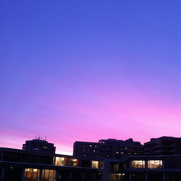 Guten Morgen