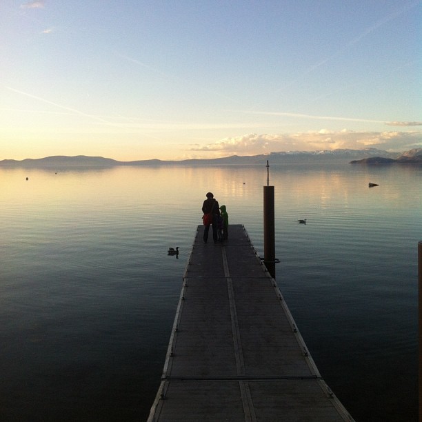 🎶 I love Lake Tahoe 🎶