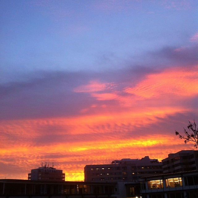 Moin M&uuml;nchen