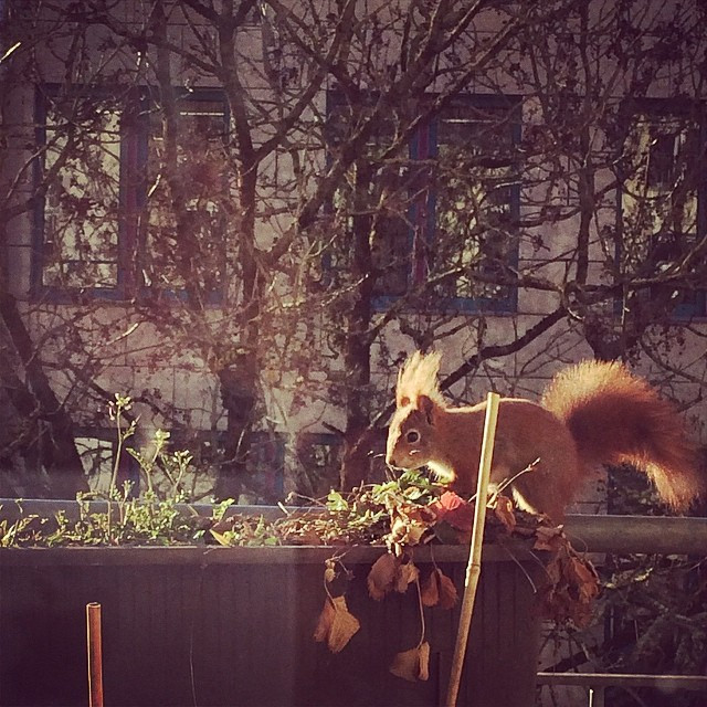 Foto 29.03.2014