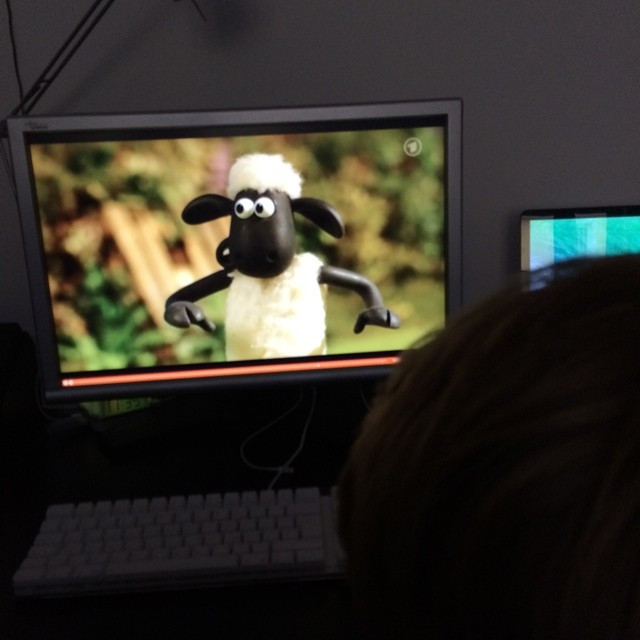 Shaun. Bester Typ.
