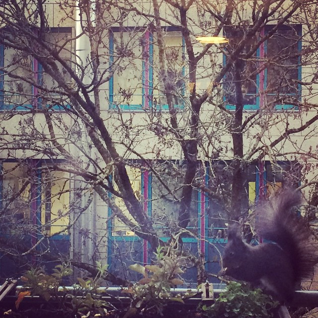 Foto 15.12.2014