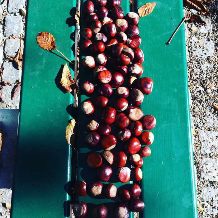 Sammeln. Weil es geht.