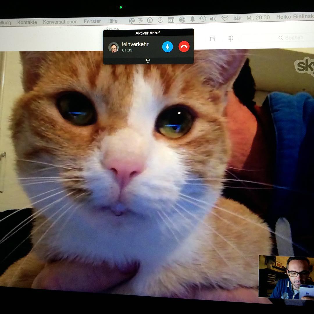 Skype mit Bonnie