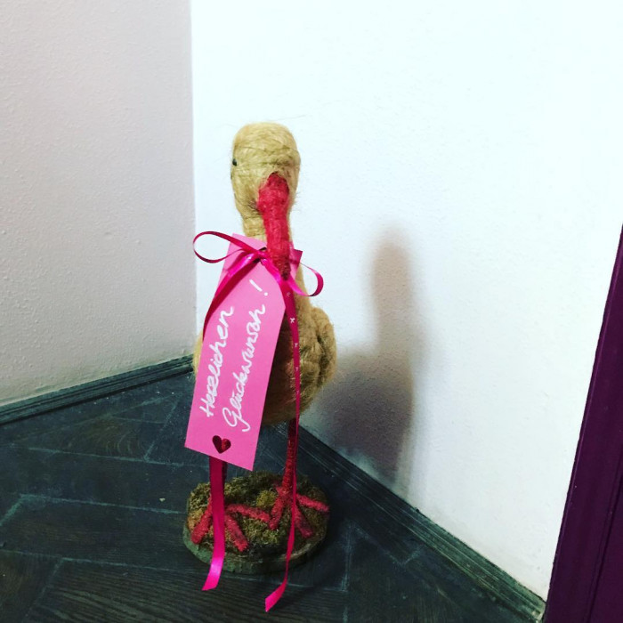 Der Hausstorch hat das Stockwerk gewechselt. Kinder machen die Leute immer ...