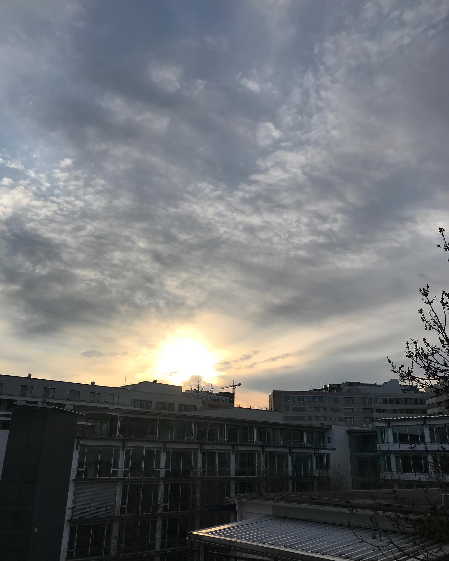 Moin M&uuml;nchen
