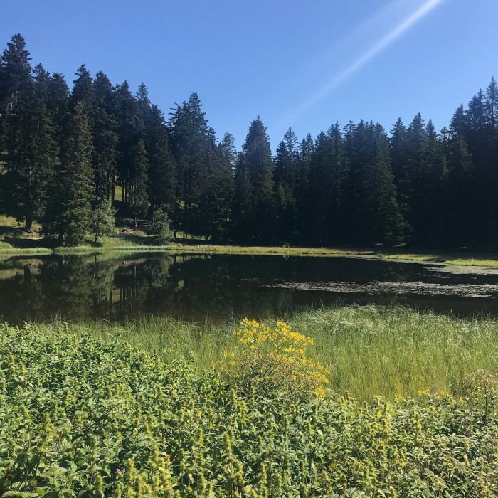Mit der Gondel fahren wir von der Talstation in Lana nach oben. Das eigentliche Highlight ist dann a