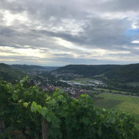 Soweit ich wei&szlig; gibt es noch keinen offiziellen Radweg von Hohenlohe nach M&uuml;nchen. Zeit wird's. Also