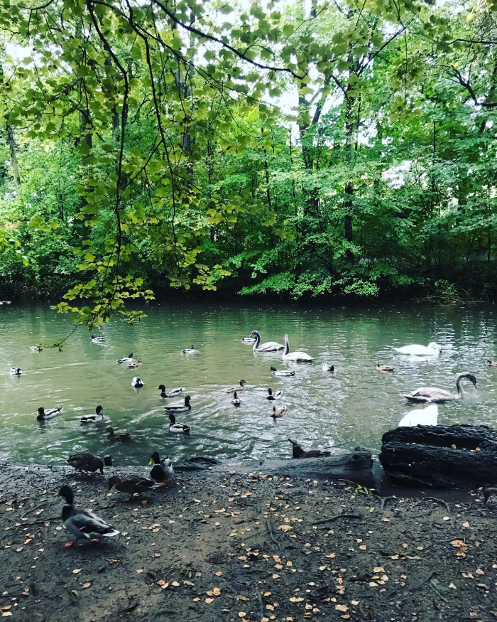 Moin M&uuml;nchen (es herbstet)